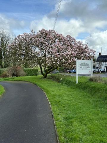 The Spinney Barnstaple Exteriör bild